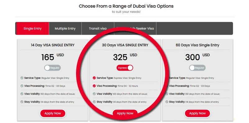 Apply Dubai Visa Step Two
