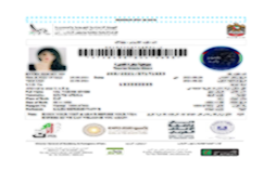  Online Dubai Visa 